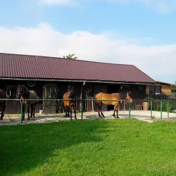 Agroturystyka „nad Potokiem” (Cięcina )