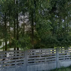 Amonitbbq (Kroczyce )