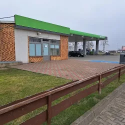 Bar Magdalenka (Golina )