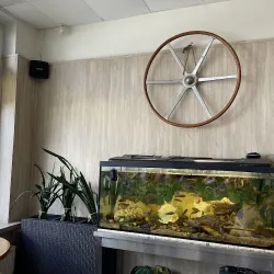 Bar Rybny (Rzeszów )