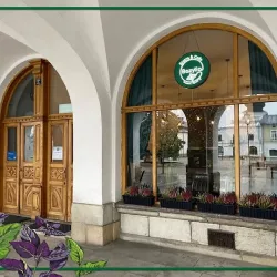 Bistro Bazylia (Krosno )