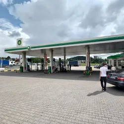 Bp (Kurzętnik )