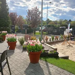 Coffewave (Łaziska Górne )