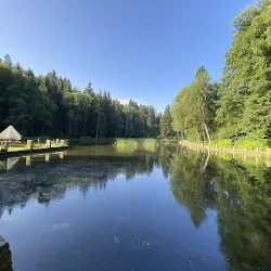 Czarny Staw (Duszniki-Zdrój )