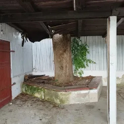 Dawna Wędzarnia Ryb (Sztynort )