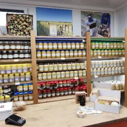 Dobre Miody A.m. Kalińscy (Pleszew )