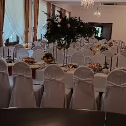 Dom Weselny Camelot (Sokołów Małopolski )