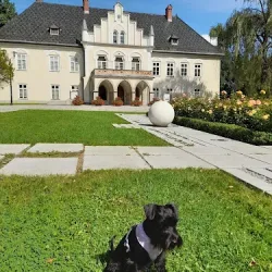 Dwór W Łodygowicach (Łodygowice )