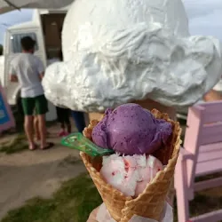 Dzień Dobry Lody Ice Truck Termy (Tarnowo Podgórne )