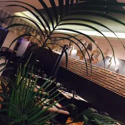 Egao Sushi Restauracja Japońska (Konin )