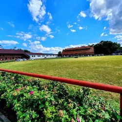 Folwark Konny Hermanów (Hermanów )