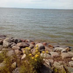 Frombork Przystań (Frombork )