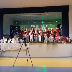 Gminny Ośrodek Kultury W Przygodzicach (Przygodzice )