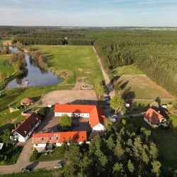 Gościniec Borki Wielkie (Borki Wielkie )