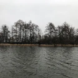 Grodzisko (Słupca )