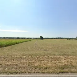 Gruby Benek (Konin )