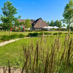 Hotel - Restauracja Platan (Sędziszów Małopolski )