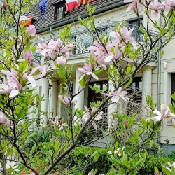 Hotel Świętoborzec (Łobez )