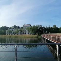 Jezioro Miejskie Margonin (Margonin )