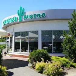 Kaktus Bistro Obiady Jak W Domu Koziegłowy Myszków (Romanów )