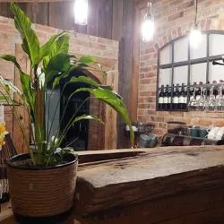 Karczma Na Winie (Olsztynek )