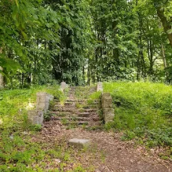Królewski Gaj (Trzebiatów )