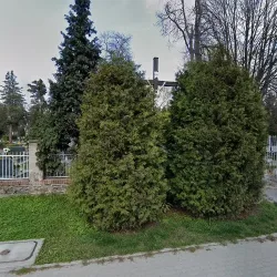 Krzyż (Paczków )
