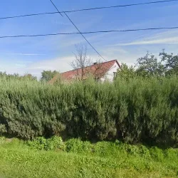 Kuchnia Polska Marta Wojczyszyn (Lubsza )