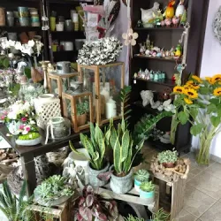 Kwiaciarnia Deco-flor Katarzyna Schichta (Dobrzeń Wielki )