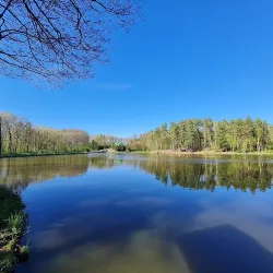 Leśniczówka Nad Zalewem (Horyniec-Zdrój )