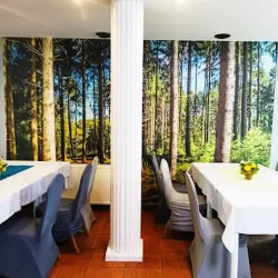 Lizawka Plener Event Catering Hotel (Poznań )