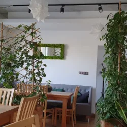 Loco Wok Bar (Nisko )