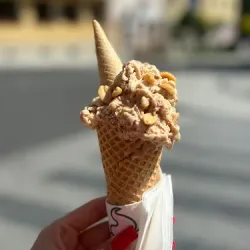Lody Lodowa Pokusa (Sokołów Małopolski )