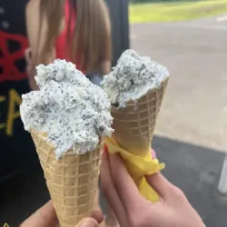 Lody Naturalne Na Tamie I Targowisku (Środa Wielkopolska )
