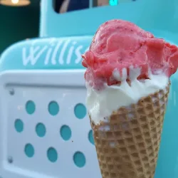 Lody Willisch (Wągrowiec )