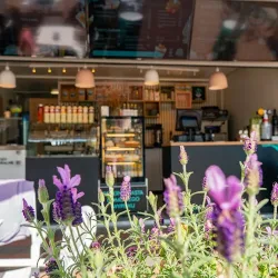 Marinero Caffe Mrzeżyno Lody Naturalne (Mrzeżyno )