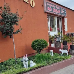 Mc Kebab Srem (Śrem )