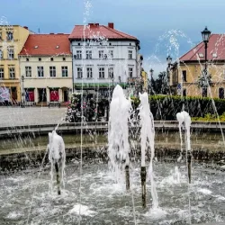 Metropol. Hotel, Restauracja (Śrem )