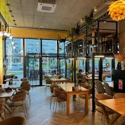 Molto Restauracja Rzeszów (Rzeszów )