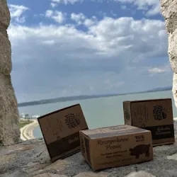 Moyapucha.pl (Świętochłowice )