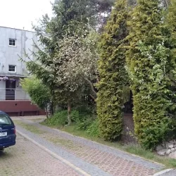 Nad Morzem Przy Wydmie (Łazy )