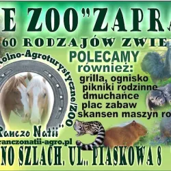 ,,nasze Zoo
