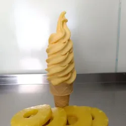 Niceice (Hyżne )