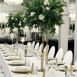 Nova Dębina (Żywiec )