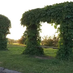 Oaza (Gronowo Górne )