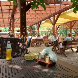 Ogródek Pod Jabłoniami (Augustów )