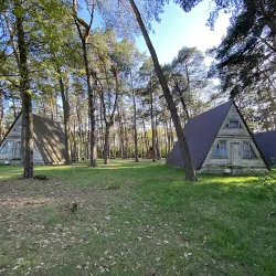 Osada Puszczańska Pttk (Tułowice )