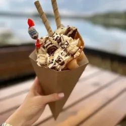 Palma Zalew Chechło (Świerklaniec )