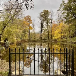 Park Pałacowy W Dukli (Dukla )