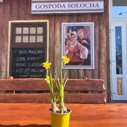 Pierogarnia Gospoda Solocha (Kędzierzyn-Koźle )